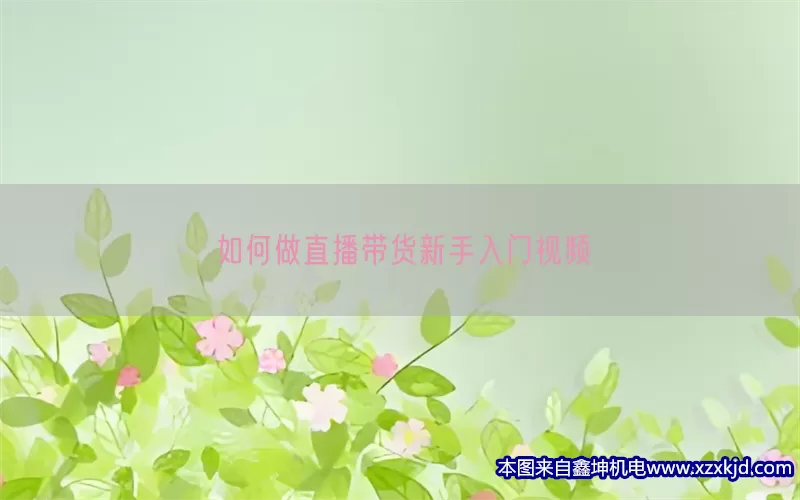 如何做直播带货新手入门视频(pic1)