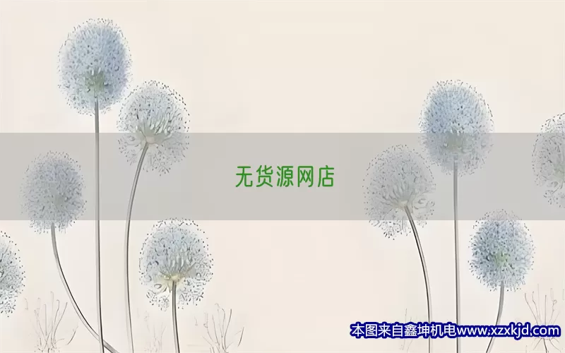 无货源网店(pic1)