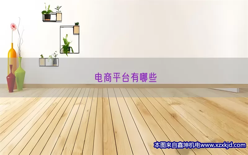 电商平台有哪些(pic1)