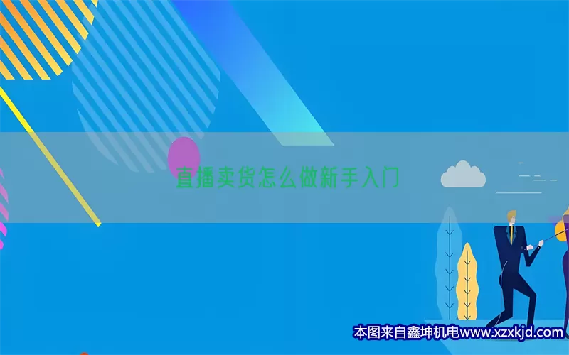 直播卖货怎么做新手入门(pic1)