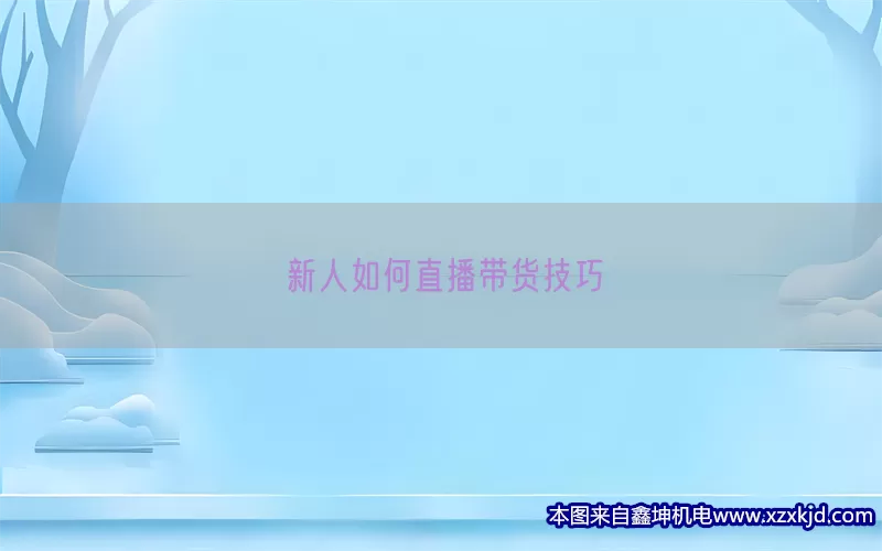 新人如何直播带货技巧(pic1)