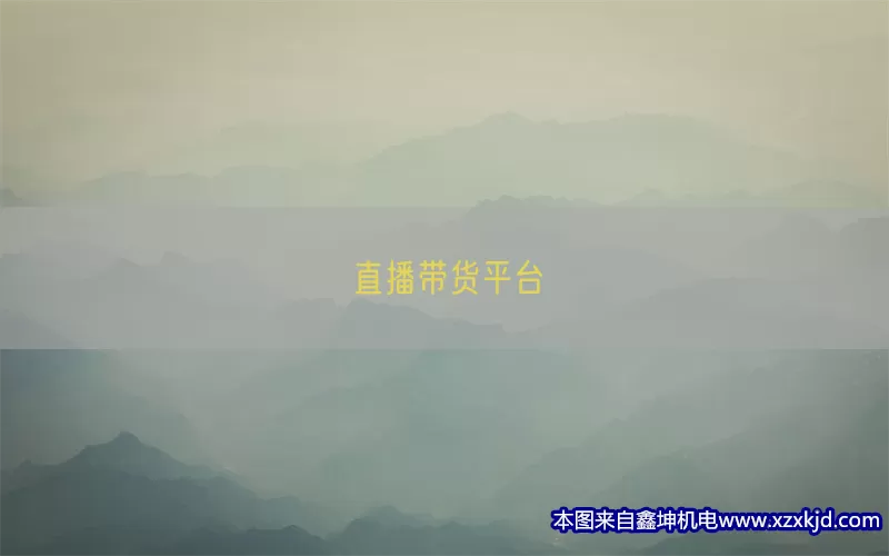直播带货平台(pic1)