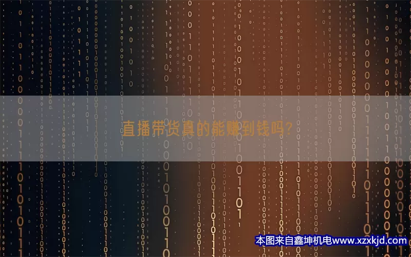 直播带货真的能赚到钱吗?(pic1)