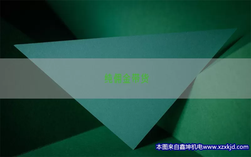 纯佣金带货(pic1)