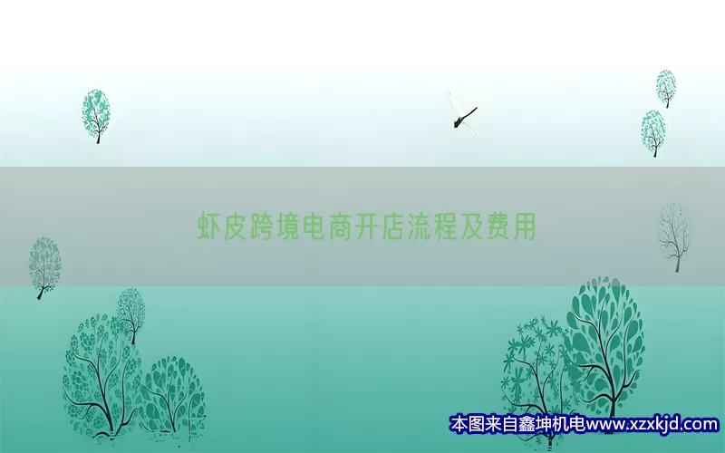 虾皮跨境电商开店流程及费用(pic1)