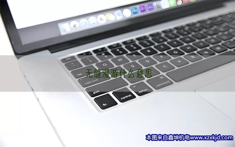 无缝漫游什么意思(pic1)
