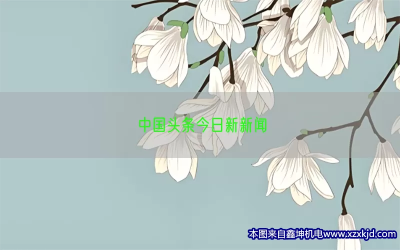 中国头条今日新新闻(pic1)