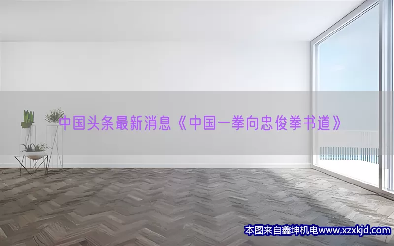 中国头条最新消息《中国一拳向忠俊拳书道》(pic1)