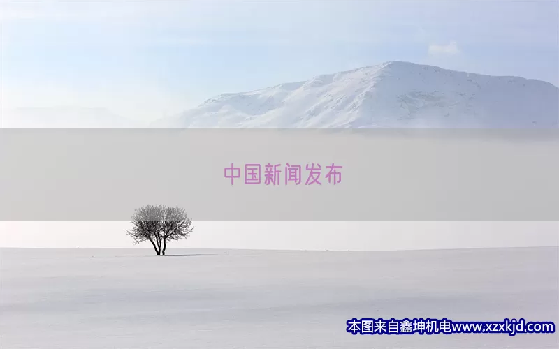 中国新闻发布(pic1)