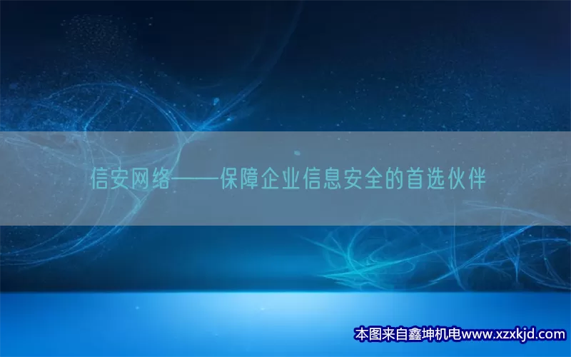 信安网络——保障企业信息安全的首选伙伴(pic1)