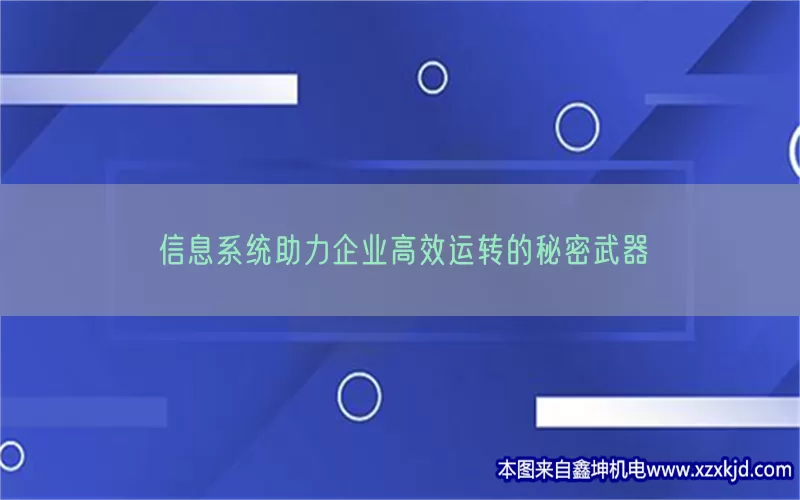 信息系统助力企业高效运转的秘密武器(pic1)