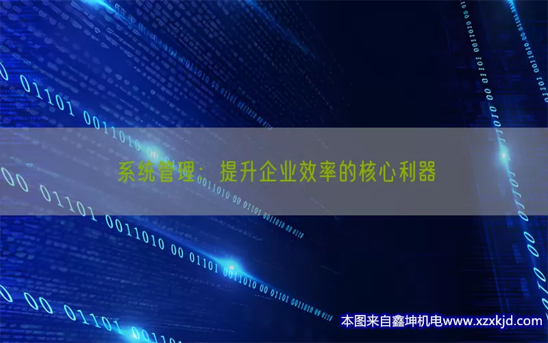 系统管理：提升企业效率的核心利器(pic1)