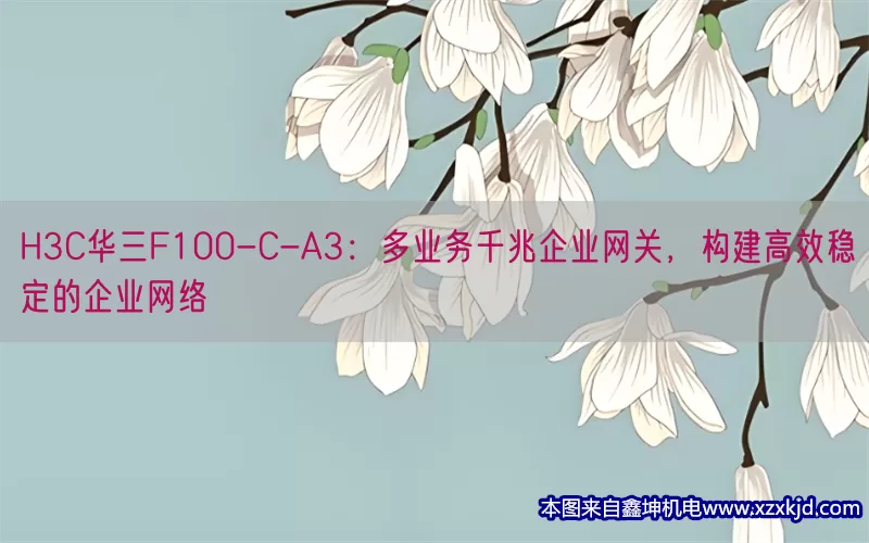 H3C华三F100-C-A3：多业务千兆企业网关，构建高效稳定的企业网络(pic1)