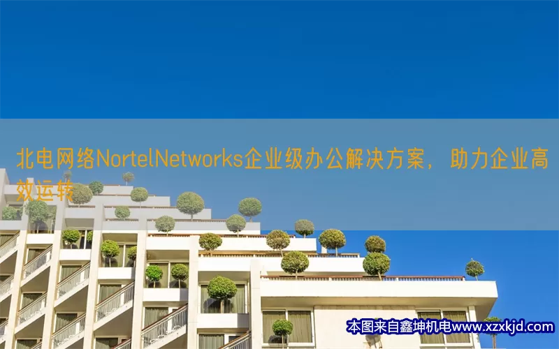 北电网络NortelNetworks企业级办公解决方案，助力企业高效运转(pic1)