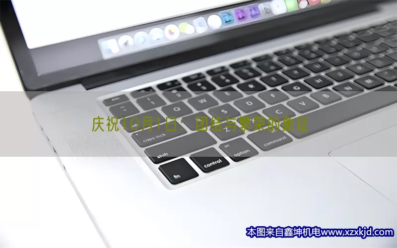 庆祝10月1日：团结与繁荣的象征(pic1)