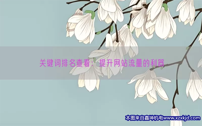 关键词排名查看：提升网站流量的利器(pic1)