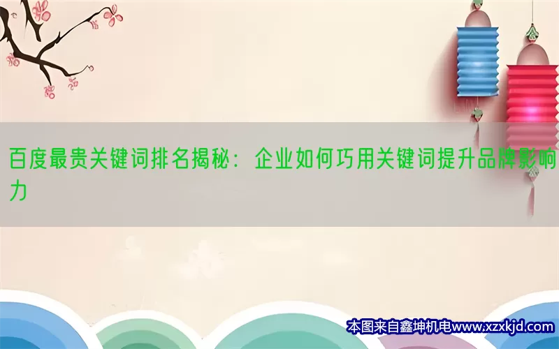 百度最贵关键词排名揭秘：企业如何巧用关键词提升品牌影响力(pic1)