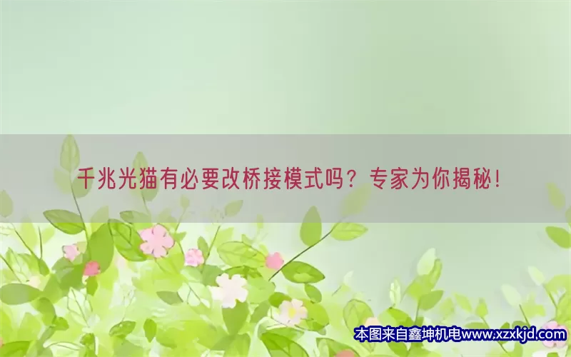 千兆光猫有必要改桥接模式吗？专家为你揭秘！(pic1)