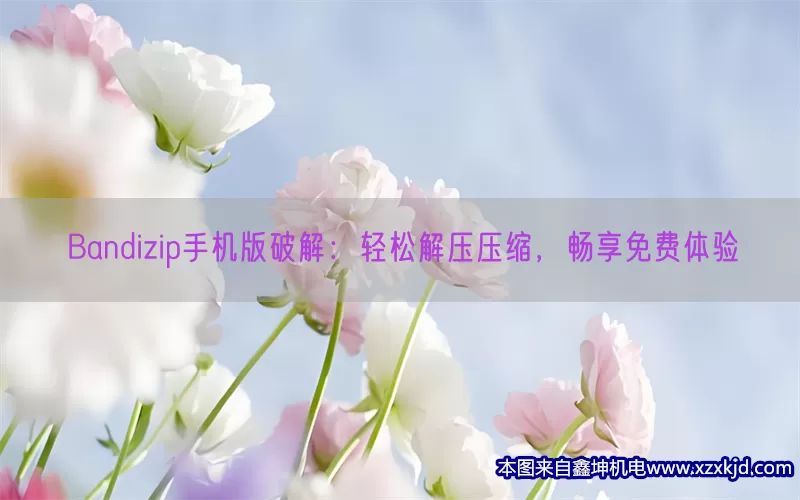 Bandizip手机版破解：轻松解压压缩，畅享免费体验(pic1)