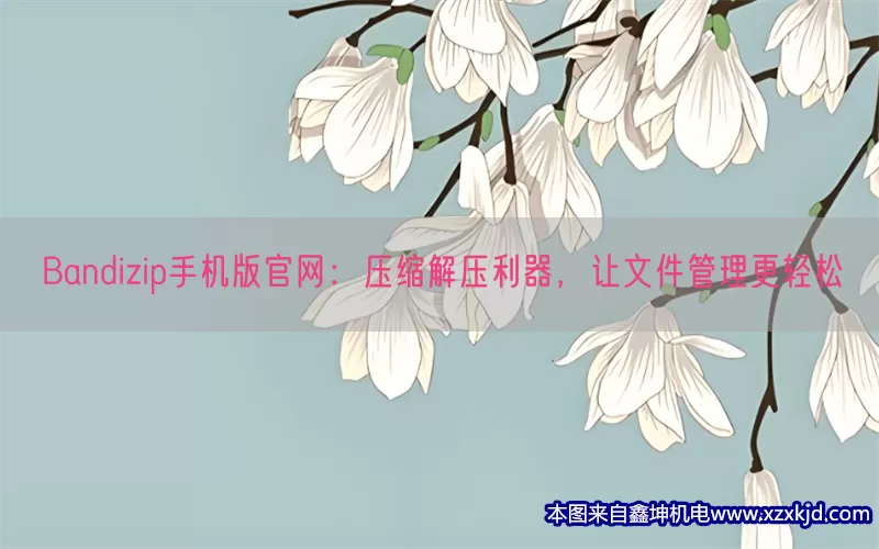 Bandizip手机版官网：压缩解压利器，让文件管理更轻松(pic1)