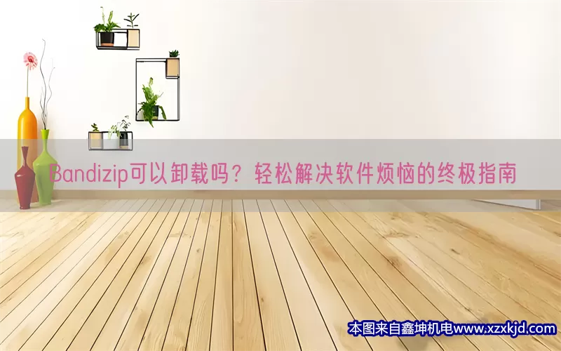 Bandizip可以卸载吗？轻松解决软件烦恼的终极指南(pic1)