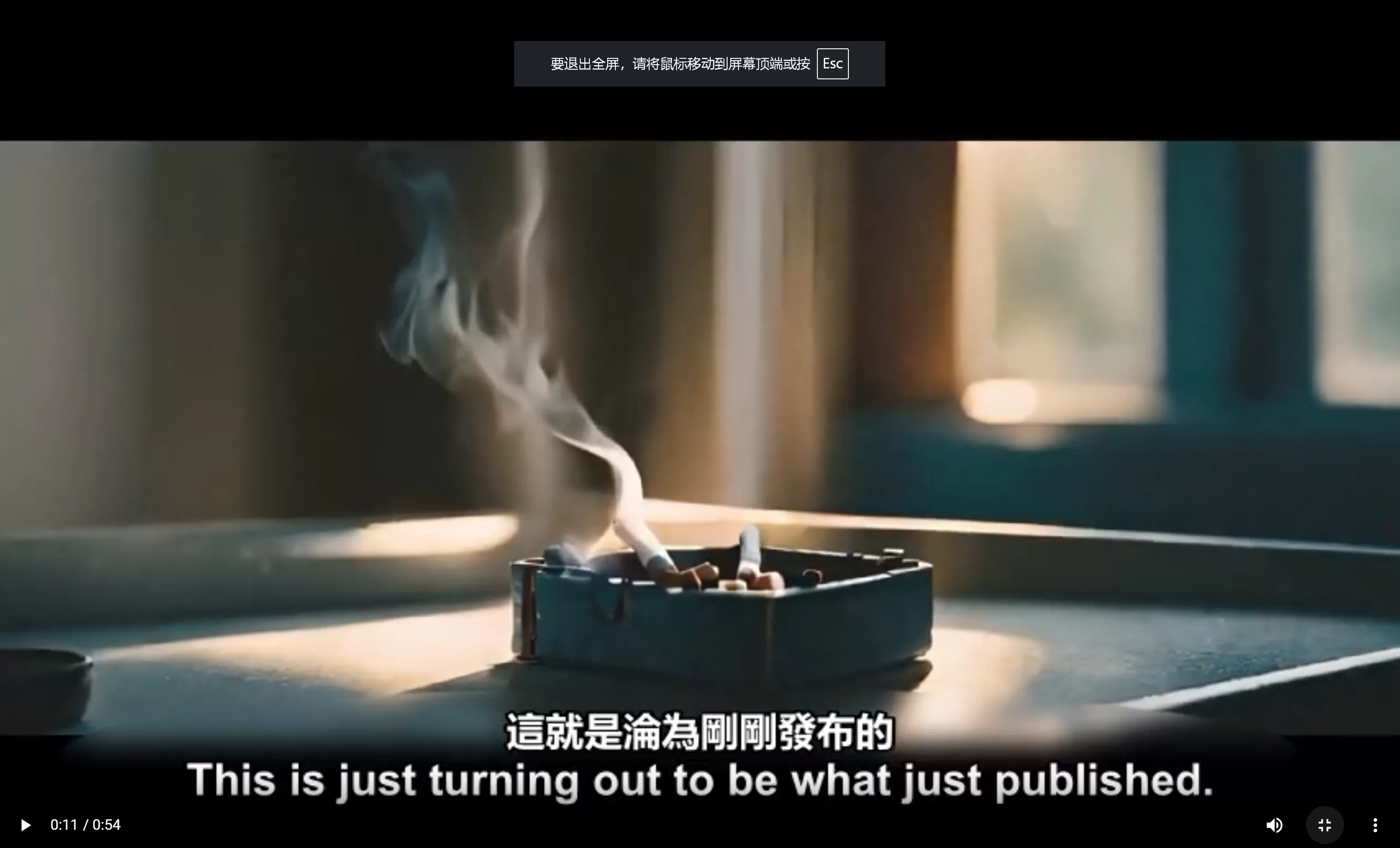 Video(Audio) Translation by AI(pic24)