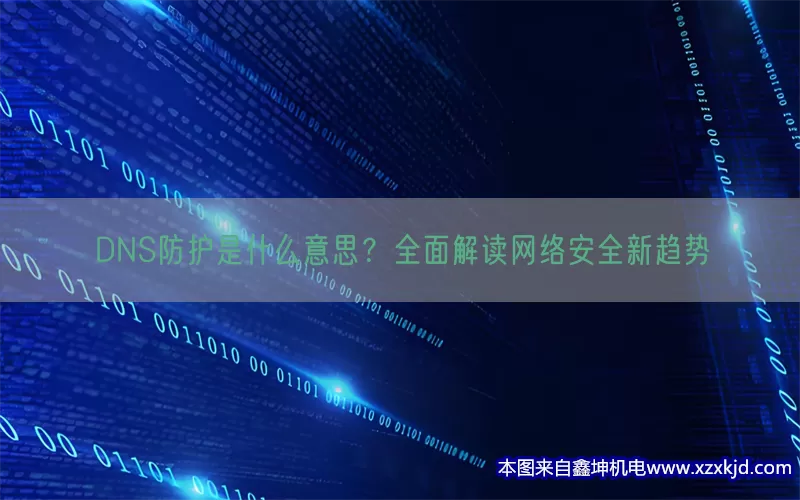 DNS防护是什么意思？全面解读网络安全新趋势(pic1)