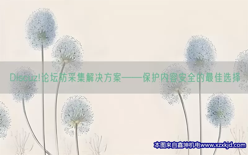 Discuz!论坛防采集解决方案——保护内容安全的最佳选择(pic1)