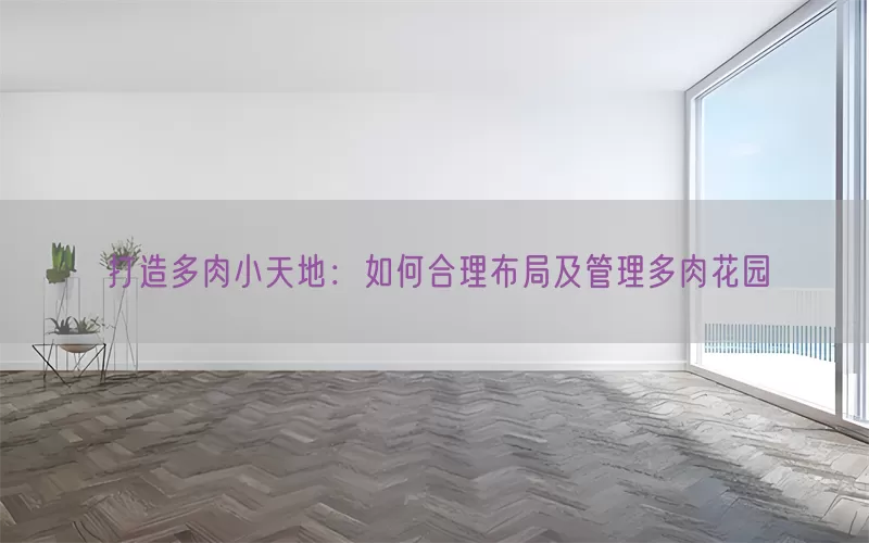 打造多肉小天地：如何合理布局及管理多肉花园