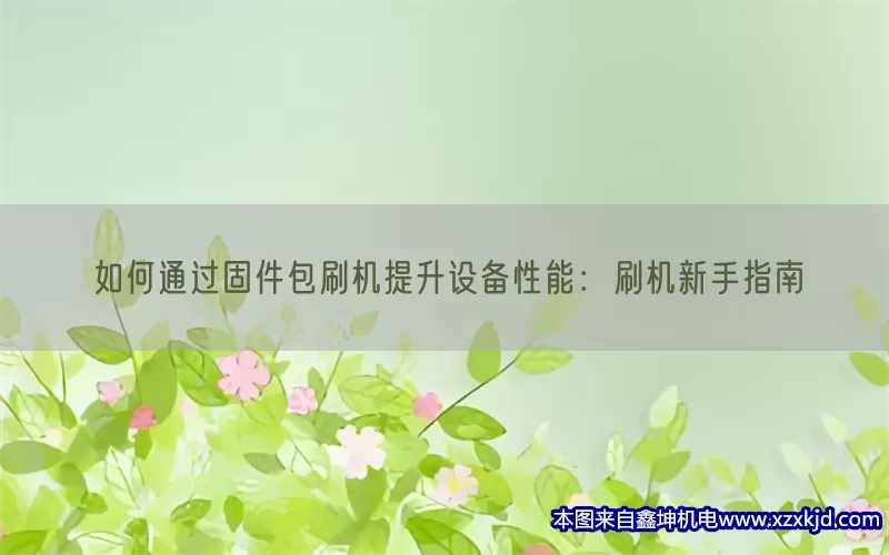 如何通过固件包刷机提升设备性能：刷机新手指南(pic1)