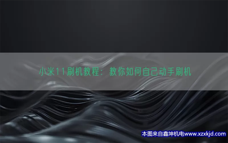小米11刷机教程：教你如何自己动手刷机(pic1)