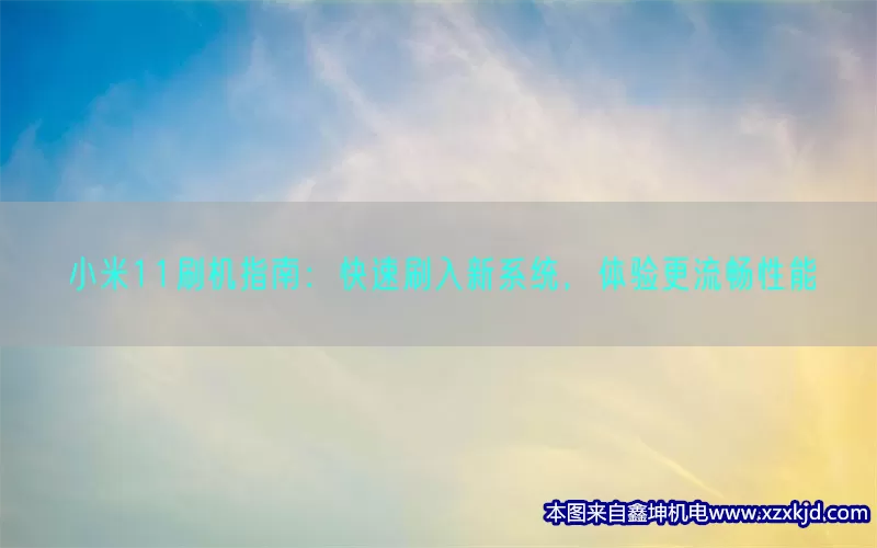 小米11刷机指南：快速刷入新系统，体验更流畅性能(pic1)