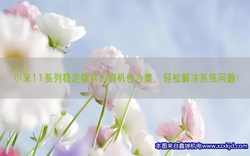 小米11系列稳定版官方刷机包合集，轻松解决系统问题！(pic1)