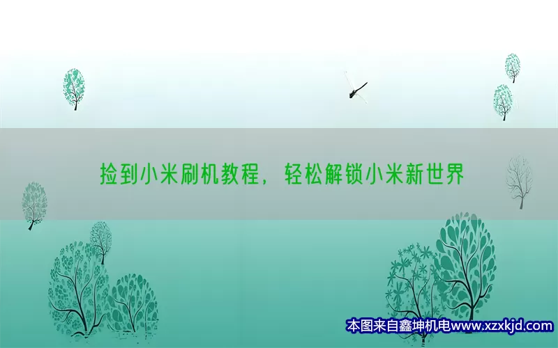 捡到小米刷机教程，轻松解锁小米新世界(pic1)