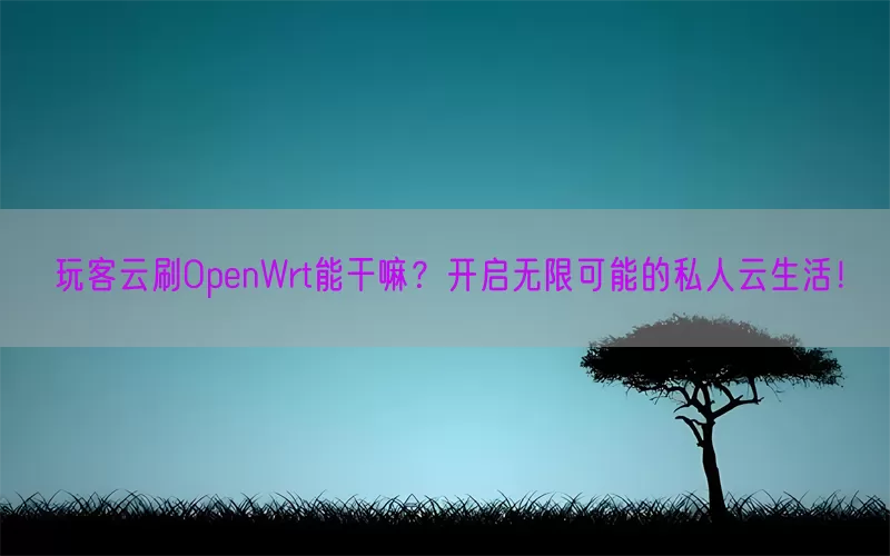 玩客云刷OpenWrt能干嘛?开启无限可能的私人云生活!