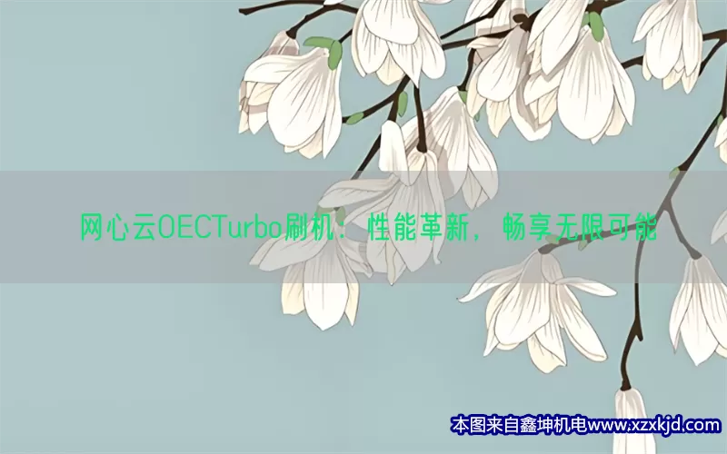 网心云OECTurbo刷机：性能革新，畅享无限可能(pic1)