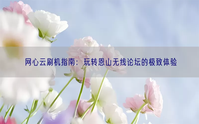网心云刷机指南:玩转恩山无线论坛的极致体验