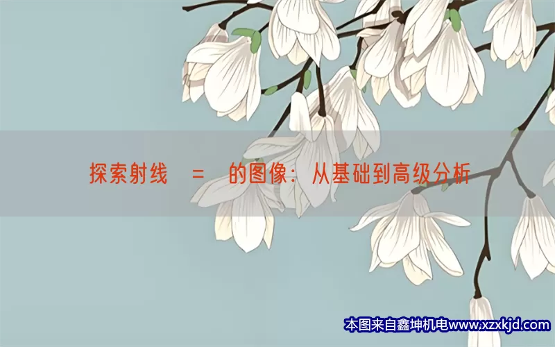 探索射线θ=π的图像：从基础到高级分析(pic1)