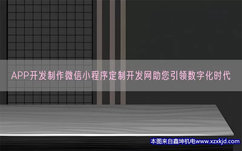 APP开发制作微信小程序定制开发网助您引领数字化时代(pic1)