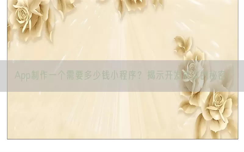 App制作一个需要多少钱小程序?揭示开发成本的秘密!