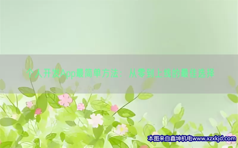 个人开发App最简单方法：从零到上线的最佳选择(pic1)