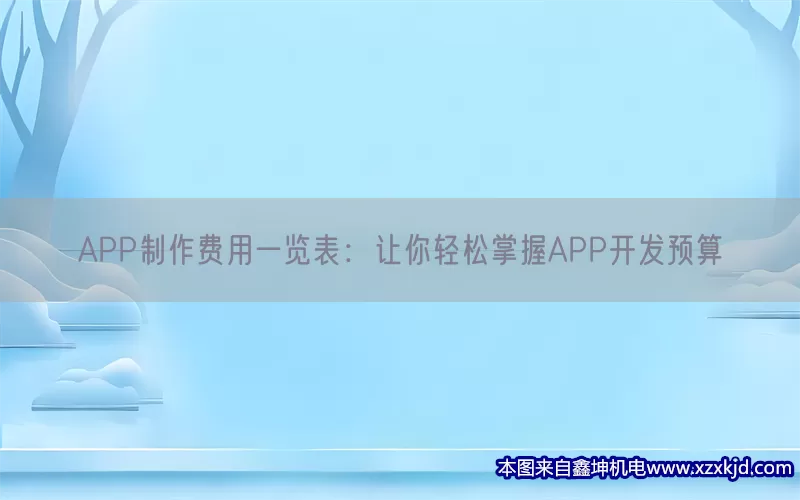 APP制作费用一览表：让你轻松掌握APP开发预算(pic1)