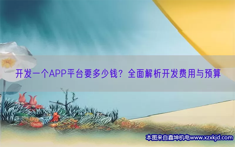 开发一个APP平台要多少钱？全面解析开发费用与预算(pic1)