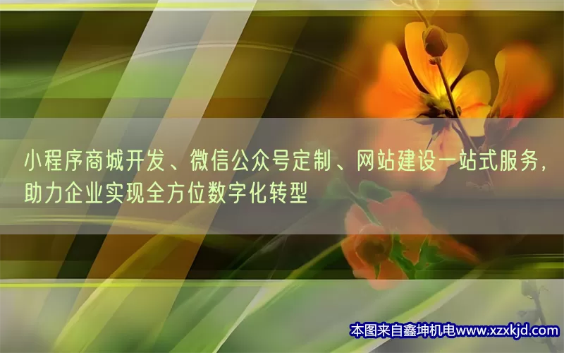 小程序商城开发、微信公众号定制、网站建设一站式服务，助力企业实现全方位数字化转型(pic1)