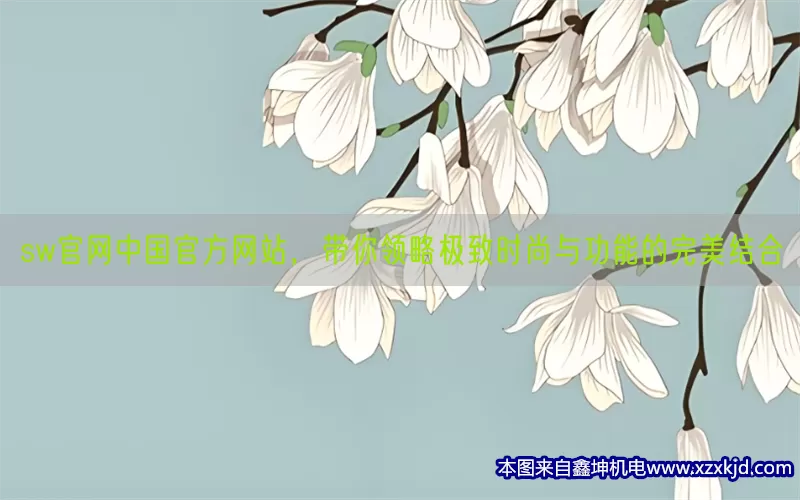 sw官网中国官方网站，带你领略极致时尚与功能的完美结合(pic1)