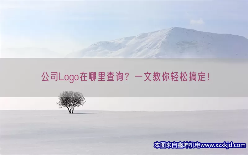 公司Logo在哪里查询？一文教你轻松搞定！(pic1)
