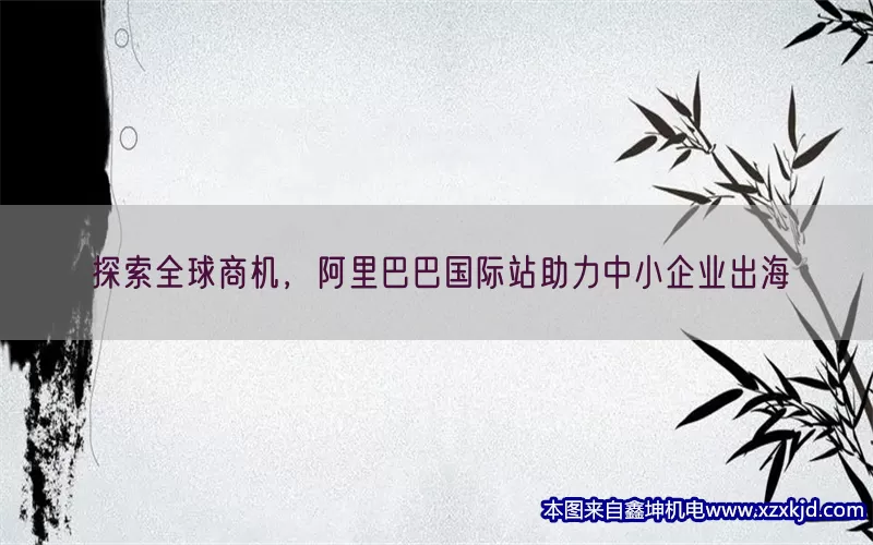 探索全球商机，阿里巴巴国际站助力中小企业出海(pic1)
