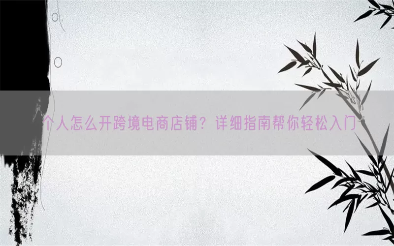 个人怎么开跨境电商店铺？详细指南帮你轻松入门
