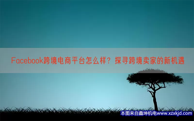 Facebook跨境电商平台怎么样？探寻跨境卖家的新机遇(pic1)