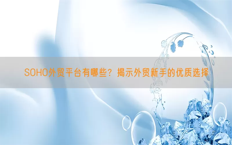 SOHO外贸平台有哪些？揭示外贸新手的优质选择